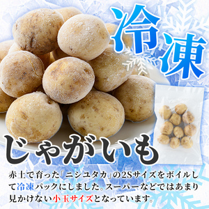 冷凍じゃがいも (計2kg・250g×8袋) ジャガイモ ニシユタカ にしゆたか 冷凍 ボイル 小分け 小玉 小さめ フライ アヒージョ スープ カレー シチュー 簡単調理 お弁当 おかず 野菜 赤土