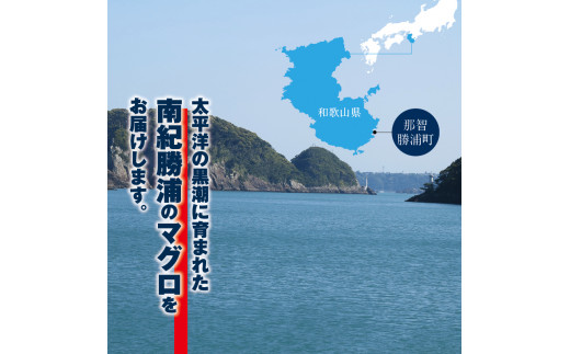 まぐろ とろ煮(180g)化粧箱入り×10箱 まぐろ チャーシュー(1本約170g×2本)化粧箱入り×10箱  / まぐろ丼 お刺身 カット済み チャーシュー スライス 漬け 小分け 天然マグロ キハ