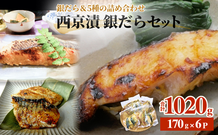 西京漬け 6種 詰め合わせ 1.02kg 銀だら 西京漬け
