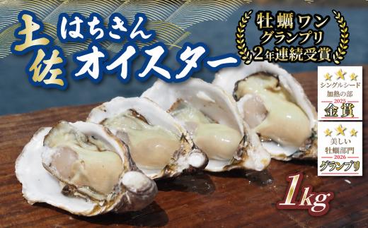 土佐はちきんオイスター 1kg 千代丸水産