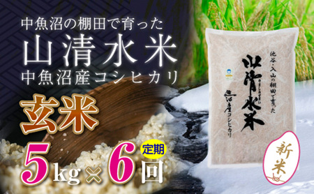 【令和6年産】【定期便／全6回】玄米5kg　新潟県魚沼産コシヒカリ「山清水米」十日町市 米