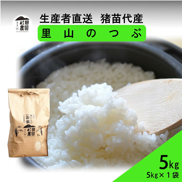 【ふるさと納税】【令和7年度産 新米予約】 米 里山のつぶ 5kg 白米 精米 | 米 こめ ごはん 5キロ 国産米 ブランド米 福島県産 農家直送 産地直送 生産者直送 杉田農園 おにぎり 家庭用 精米済み 猪苗代町 ※2025年11月下旬頃より順次発送予定