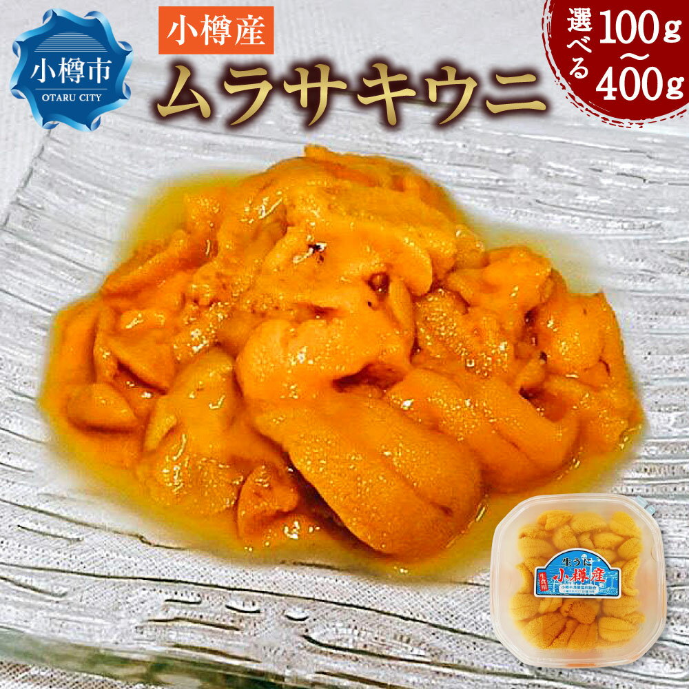 【ふるさと納税】【内容量選択可能】小樽産 ムラサキウニ 100g～400g 1パック 100g 塩水生ウニ ウニ 雲丹 | うに 冷凍 刺し身 刺身 海鮮丼 魚介類 海産物 塩水うに 生ウニ ギフト 贈答用 贈り物 小樽市 北海道 送料無料 【2025年5月下旬～8月下旬 発送予定】