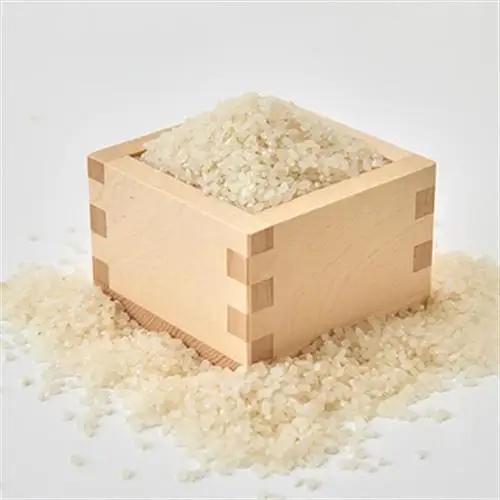 【毎月定期便】「京の豆っこ米」精米5kg　低農薬コシヒカリ　京都与謝野町　【伊達農園】全3回【4074804】