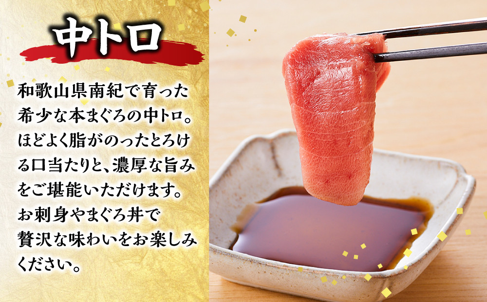 本マグロ（養殖）トロ＆赤身セット 1kg［KS13］