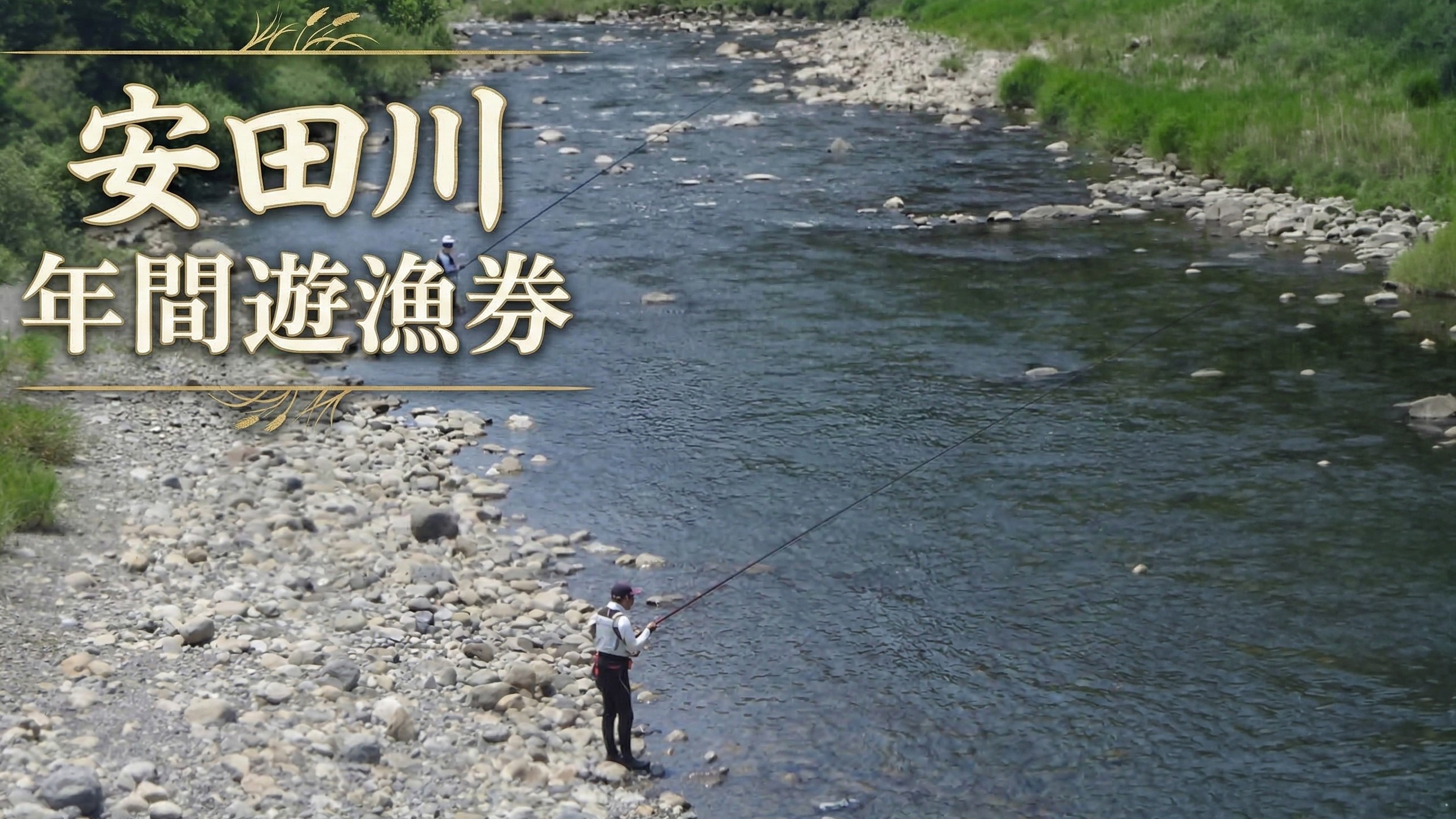 
YG-01◆安田川漁協・鮎年間遊漁券
