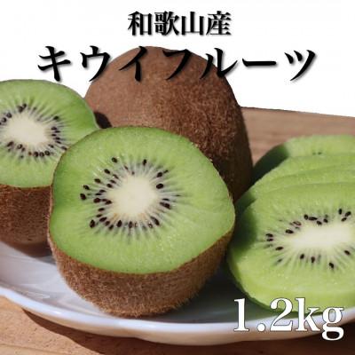 ふるさと納税 美浜町 和歌山産　キウイフルーツ　約1.2kg　秀品