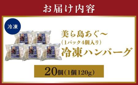 【美ら島あぐ~】冷凍ハンバーグ (20個入り)