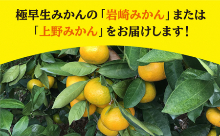  極早生 みかん 約5kg ＜Da・IWASAKI FARM＞ [CCZ002] みかん ミカン みかん みかん ミカン みかん 