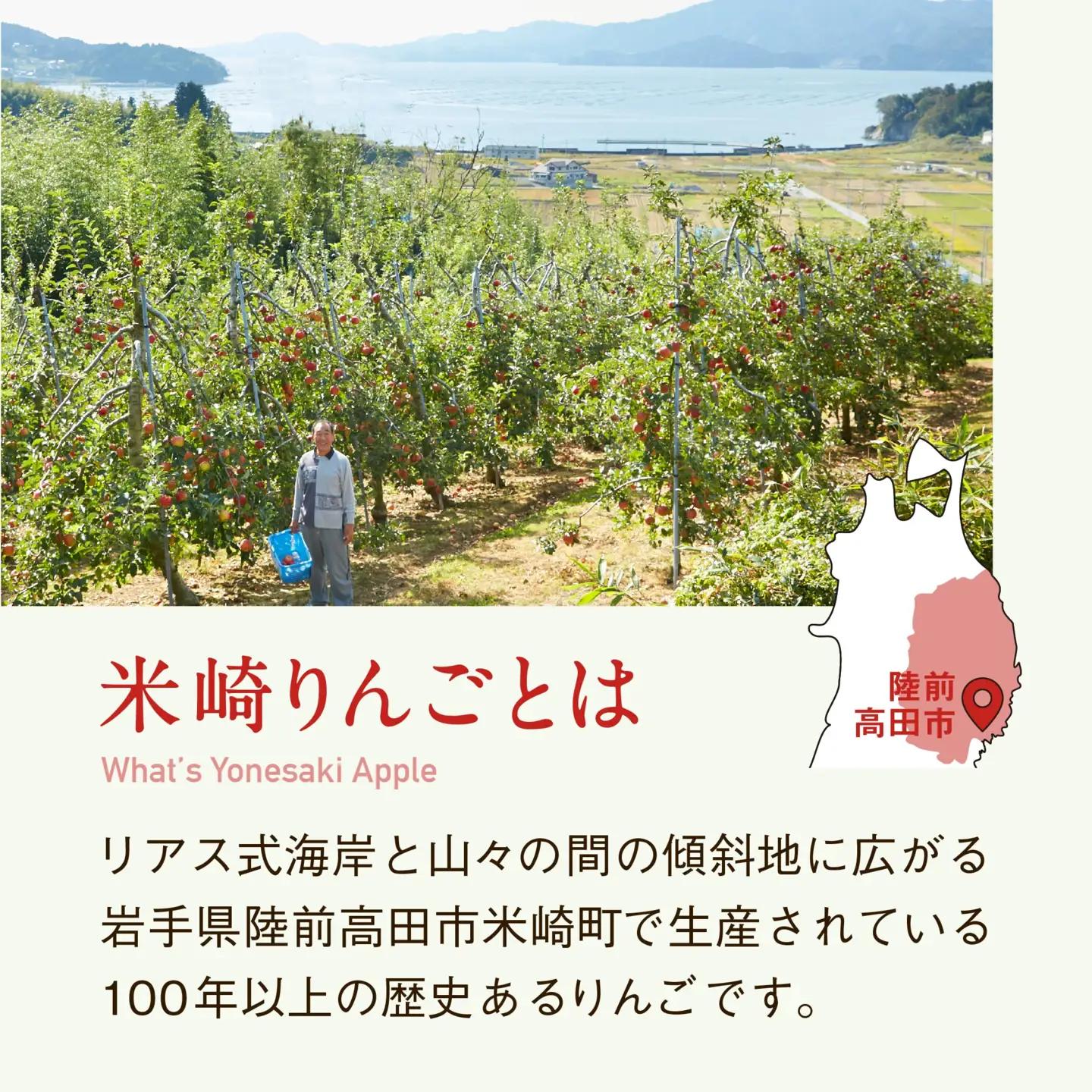 米崎りんご 品種おまかせ 3kg りんご 9月頃から発送予定