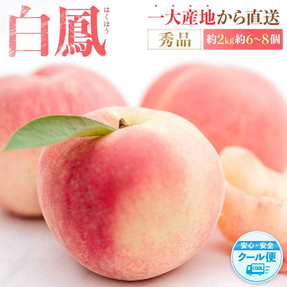 【ふるさと納税】先行販売！［モモ］ 白鳳　桃の王様！約2kg6～8個 ［2026年6月下旬頃より順次発送］［秀品］こだわり農家厳選 ［KG12］ | もも フルーツ 果物 くだもの 食品 人気 おすすめ 送料無料
