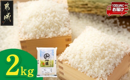 
                  都城産と国産のブレンド米 2kg≪みやこんじょ特急便≫〔15-013-2kg-Q〕_(都城市)  お米 国産ブレンド米 2kg袋 精米
                