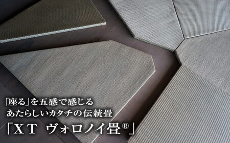 デザイン畳 伝統素材 ＸＴヴォロノイ4.5