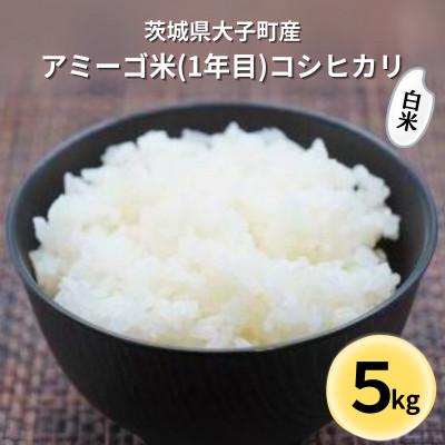 ふるさと納税 大子町 【新米先行予約】アミーゴ米コシヒカリ5kg(1年目・白米)【11月中旬から順次出荷】|茨城県大子町