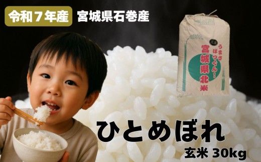 米 ひとめぼれ 玄米 30kg  令和7年産 ヒトメボレ お米 ごはん ご飯 30キロ 産地直送 米処 美味しい おこめ こめ さっぱり