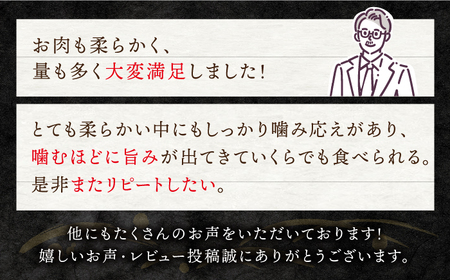 【 訳あり 】【お肉の魔人】 長崎和牛 ランプステーキ 450g（3～5枚）＜スーパーウエスト＞ [CAG042]