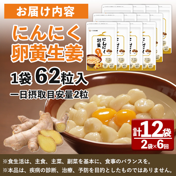 No.1285-B ＜定期便・全6回(隔月)＞てまひま にんにく卵黄生姜(1袋 62粒入り・2袋×6回)  鹿児島 日置市 ニンニク 健康食品 カプセル 生姜 サプリメント 定期便 【てまひま堂】