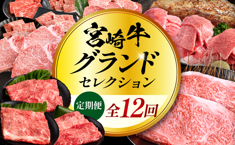 【全12回定期便】宮崎牛グランドセレクション 三角バラ 希少部位 焼き肉 焼肉 ペッパーハンバーグ ハンバーグ モモ肉 ステーキ ウデ スライス ロース バラ肉 ミスジ ヒレ 定期便 12回 国産 宮崎牛