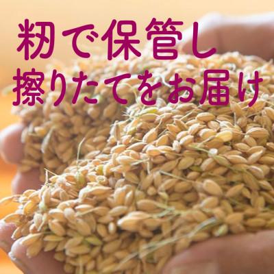 ふるさと納税 阿賀町 【毎月定期便】【中旬より発送】新潟県こしひかり『奥阿賀仁一郎』 精米 10kg全3回 |  | 01