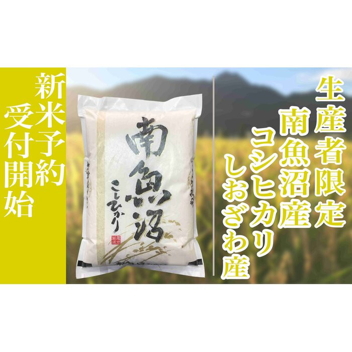 【令和8年産　新米予約】定期便12ヶ月：精米5kg生産者限定 南魚沼しおざわ産コシヒカリ【定期便 銘柄米 ブランド米 精米 こしひかり コシヒカリ 魚沼産 ごはん】【2026年10月上旬から1ヶ月以内に順次発送予定】