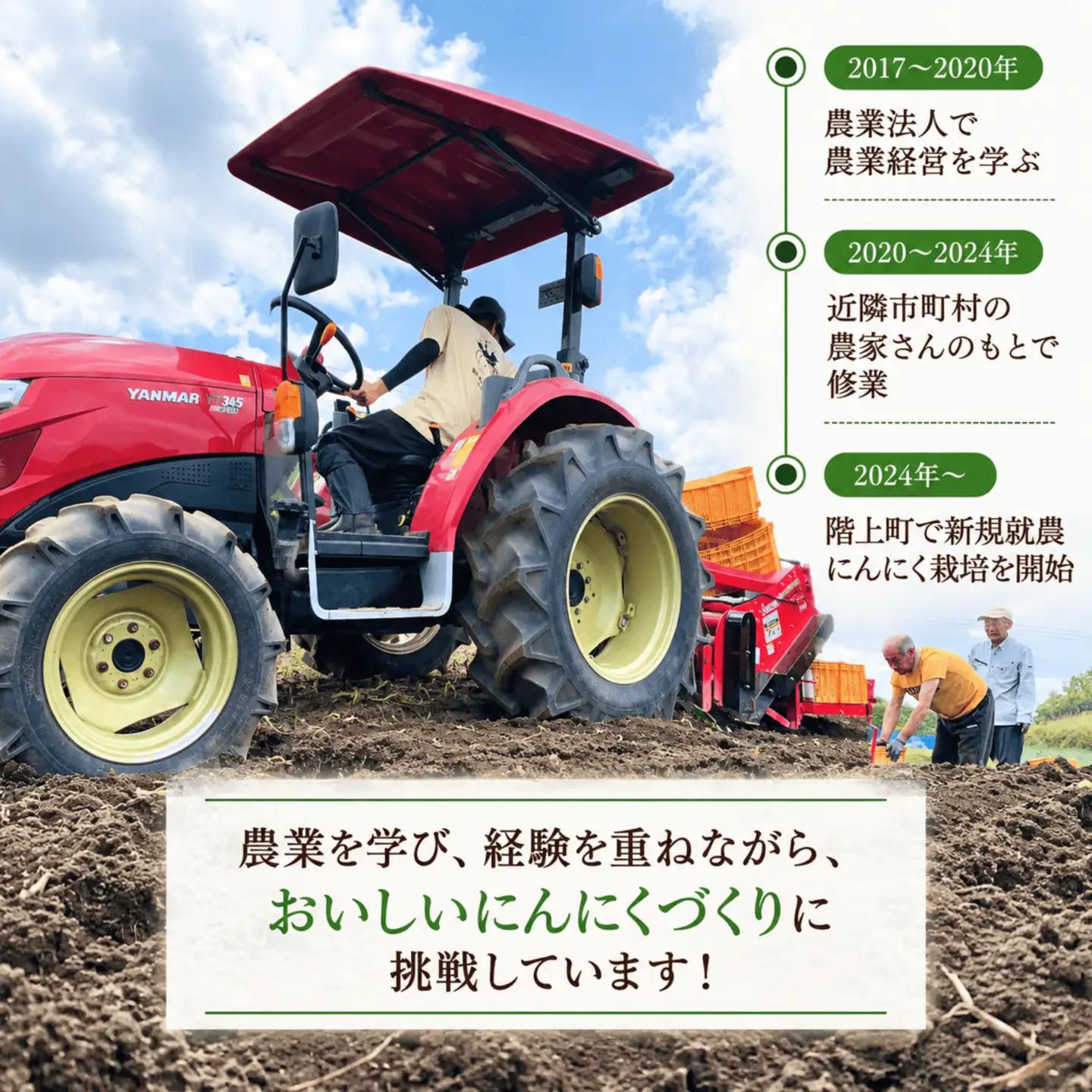 訳あり！料理に使いやすいバラにんにく！「青森県階上町産」乾燥バラにんにく　1kg
