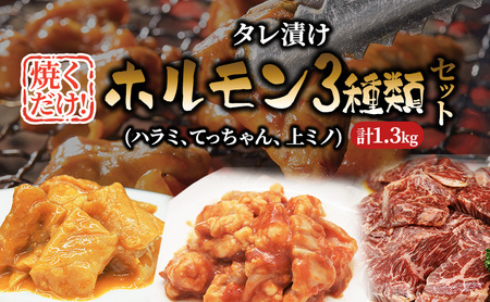 焼肉セット たれ漬け ホルモン セット 1.3kg ハラミ てっちゃん 上ミノ 味噌たれ 詰め合わせ 牛肉 牛 肉 お肉 漬け 焼き肉 焼肉 バーベキュー アウトドア キャンプ 弁当 おかず 冷凍 牛ハラミ 大阪 柏原市 大阪府柏原市 