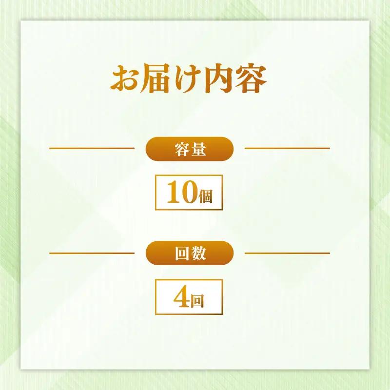 定期便 パックごはん 白米 10個×4回