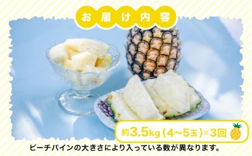 定期便 3ヶ月 2027年 先行予約 ピーチパイン 約3.5kg(4～5玉)×3回 ピーチパイン好きにおすすめ♪ ☆西表島ふる～つらんど☆ パイン 果物 フルーツ