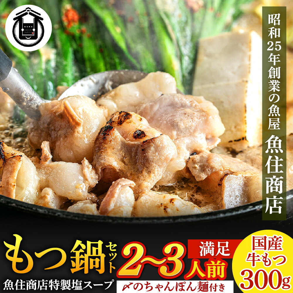 【ふるさと納税】魚住商店特製 国産牛もつ使用 塩もつ鍋セット(2〜3人前)【魚住商店】_AS2018-00 〆のチャンポン麺付き 国産モツ鍋 鍋 ホルモン 肉 もつ 国産もつ鍋 塩もつ鍋 塩モツ鍋 出汁つき 小分け 個包装 冷凍 惣菜 お惣菜 おかず おすすめ 福岡県宗像市
