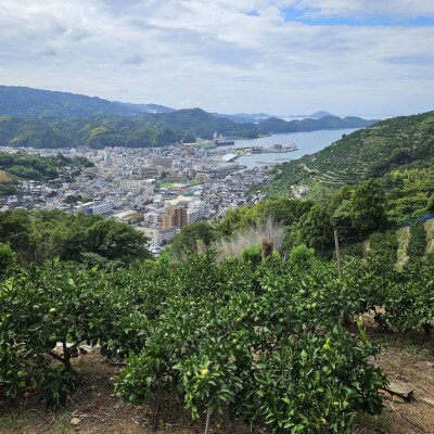厳選品!! 横ちゃんちの早生みかん 約5kg【C84−5】【1552435】