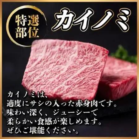 【毎月定期便】飛騨牛 カイノミステーキ定期便 毎月1kg【冷蔵便】A4～A5 厳選希少部位 全6回_肉 ステーキ 牛肉 ビーフステーキ  定期便 定期便  _【配送不可地域：離島】【4066632】