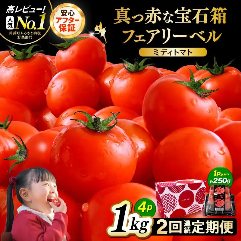 定期便 ≪2ヶ月連続お届け≫ フルーツミディトマト 約1kg × 2回 トマト 野菜 [m37-a026]