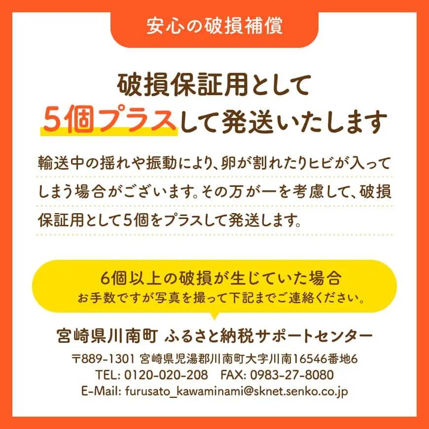 【6ヶ月定期便】宮崎県産鶏卵 「南国からの贈り物」大きな卵40個入り（35個+破損補償5個）【たまご 卵 玉子 タマゴ】