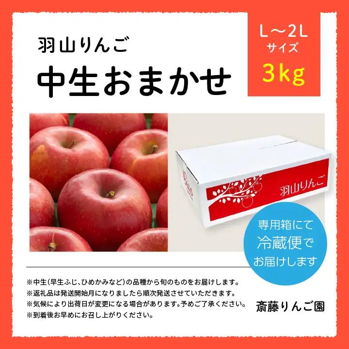 りんご《2026年10月以降順次発送》羽山のりんご 中生おまかせL～2Lサイズ3kg りんご リンゴ 果物 フルーツ【斎藤りんご園】