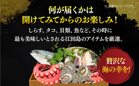 【何が届くかお楽しみ】旬の海の幸 福袋 寄附額1万円相当 魚介類 海産物 海鮮 刺身 広島 江田島市/七宝丸[XBY004]刺し身海鮮魚介類セット刺身