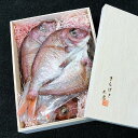 【ふるさと納税】天然鳴門鯛　一夜干し（250g ×3枚）冷凍 | 鯛 たい ギフト お取り寄せ お取り寄せグルメ 簡単 おかず 贈答 徳島 人気 おすすめ 送料無料