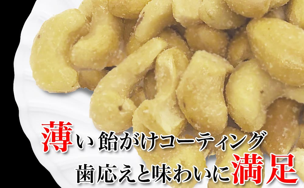 【2袋】あめがけカシューナッツ370g（計740g）