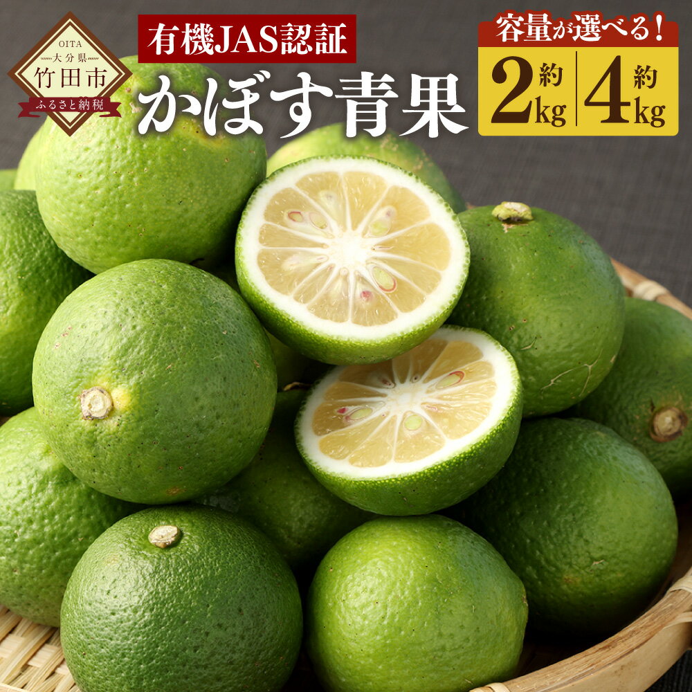 【ふるさと納税】＜選べる容量＞ 【先行予約】有機JAS認証 かぼす 青果 約2kg～4kg（箱入り）約20個～40個 カボス 黄カボス 果汁 有機かぼす 柑橘 フルーツ 果物 常温 大分 大分県 九州 国産 大分県産 竹田市 送料無料【2025年8月下旬から11月下旬発送予定】