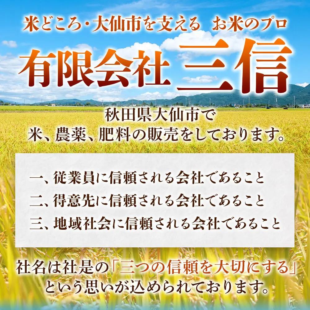 米《定期便9ヶ月》米どころ 秋田県大仙市産 ブレンド米【無洗米】10kg（5kg×2袋）