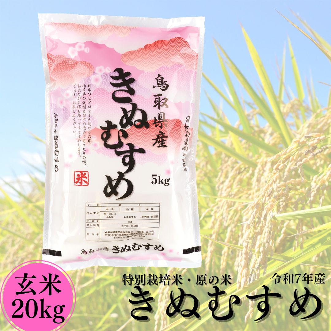 新米 令和8年産 玄米 20kg きぬむすめ 特別栽培米 原の米 | 51M お米 米 ご飯 銘柄米