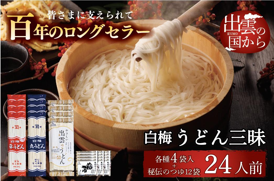 
            創業百年老舗の味　児玉製麺「伝統の味懐かしの味　白梅うどん三昧」【1-331】
          
