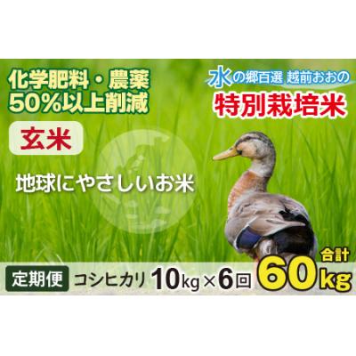 ふるさと納税 大野市 【令和7年産】【6ヶ月定期便】こしひかり 10kg × 6回 計60kg【玄米】「特別栽培米」