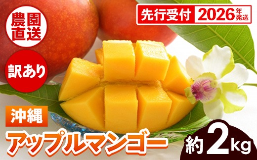 【先行受付】【2026年発送】ヤマト農園 アップルマンゴー訳あり約2kg（4～6玉）- 先行予約 沖縄県産 産地直送 南国フルーツ 旬の味覚 季節の果物 ご自宅用 訳アリ 沖縄マンゴー 沖縄県 八重瀬町