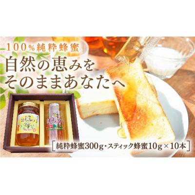 ふるさと納税 山口市 純粋蜂蜜とスティック蜂蜜のセット E031