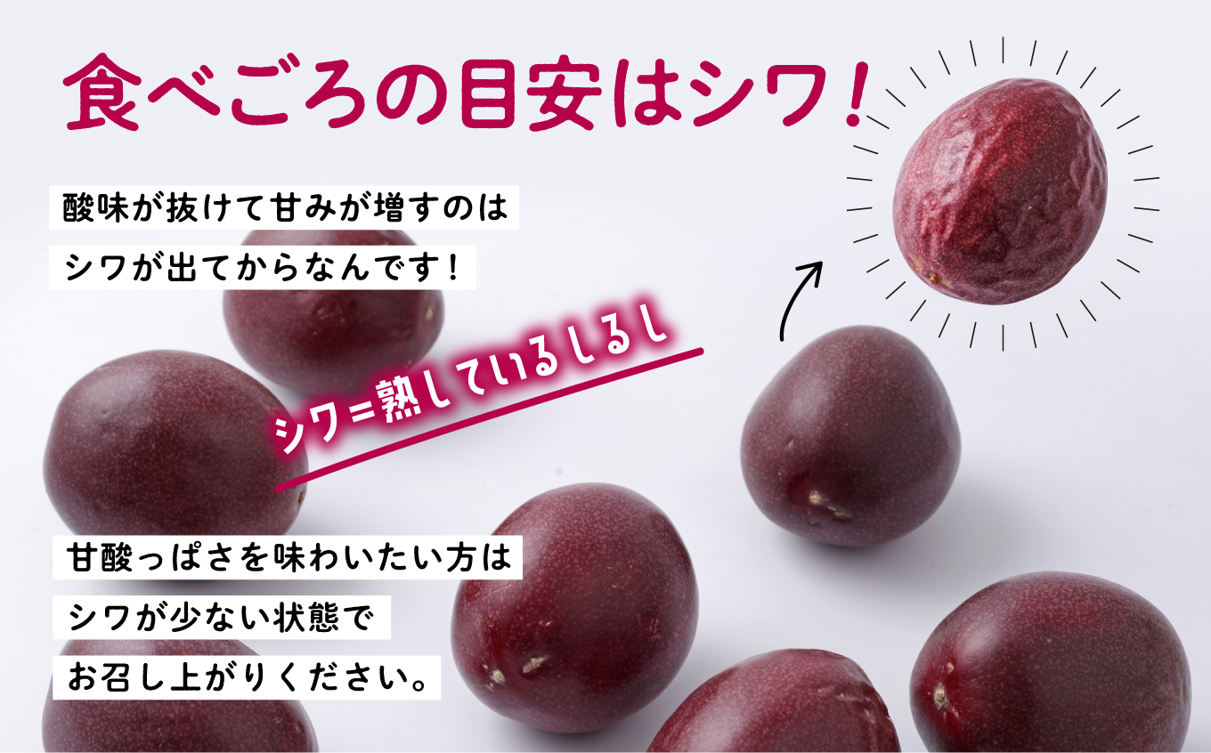 令和6年産 種子島産パッションフルーツ2ケース （24個入り）【新栄物産】