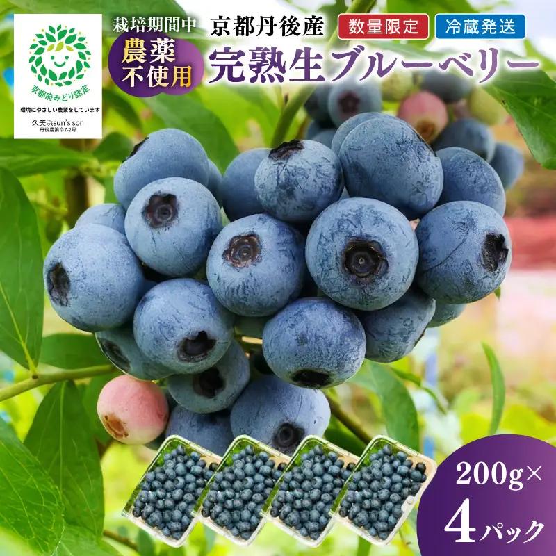 【数量限定】完熟ブルーベリー 生果 200g×4パック（栽培期間中農薬・化学肥料・除草剤不使用）（2027年7月上旬～発送）｜フルーツ ベリー