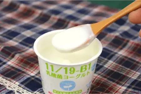 11／19-B1乳酸菌ヨーグルト2箱(1箱8個入り)　【07214-0023】