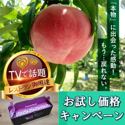 2027年発送先行受付【ゴールデン番組出演実績】メディアで話題沸騰となった『樹上完熟ブランド桃』【配送不可地域：離島・北海道・沖縄県・中国・四国・九州】