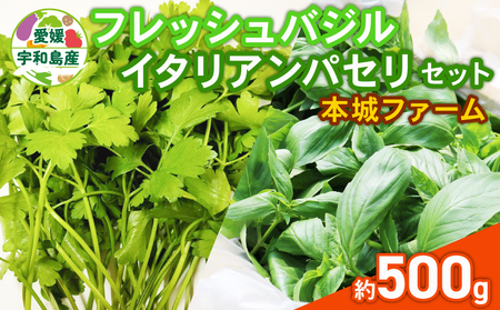 フレッシュ バジル イタリアンパセリ セット 計500g 本城ファーム ハーブ 生バジル 生パセリ パセリ ばじる はーぶ 香草 水耕栽培 野菜 やさい 美味しい 新鮮 イタリア料理 調味料 スパイス 農家直送 産地直送 数量限定 国産 愛媛 宇和島 F010-199005