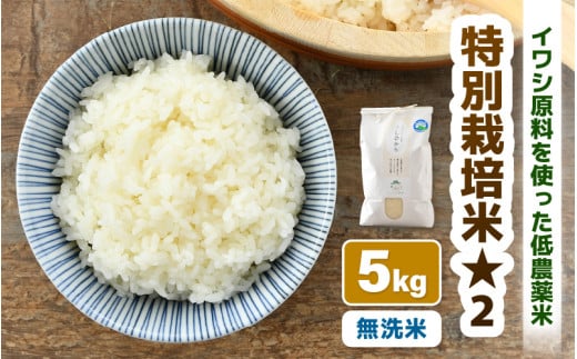 【先行予約】【令和8年産】 特別栽培米 コシヒカリ 無洗米 5kg 低農薬 / 北陸 福井県産 あわら市 ブランド米 白米 お米 コメ 特栽米 ※2026年9月下旬以降順次発送予定 [aw056-a026]